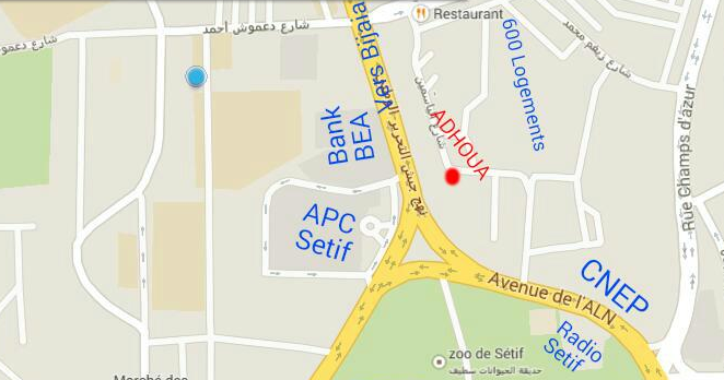 Nevia Premium Template